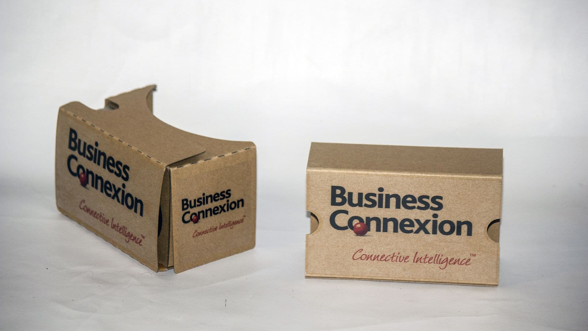 Google Cardboard VR for Schools